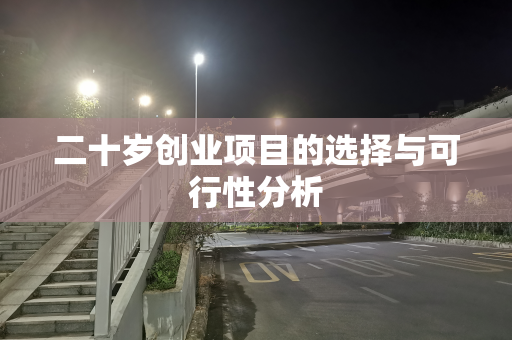 二十岁创业项目的选择与可行性分析