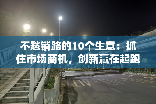 不愁销路的10个生意：抓住市场商机，创新赢在起跑线