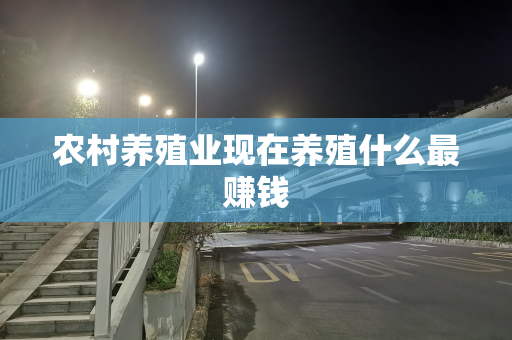 农村养殖业现在养殖什么最赚钱