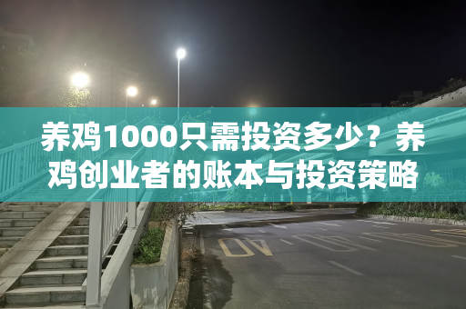 养鸡1000只需投资多少？养鸡创业者的账本与投资策略