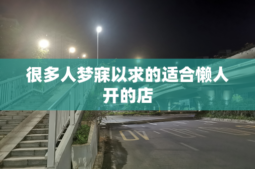 很多人梦寐以求的适合懒人开的店