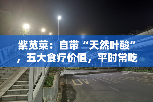 紫苋菜：自带“天然叶酸”，五大食疗价值，平时常吃提免疫强体质