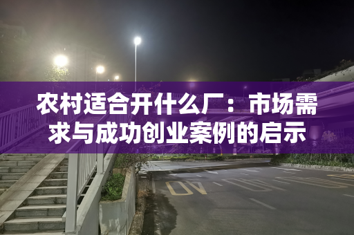 农村适合开什么厂：市场需求与成功创业案例的启示