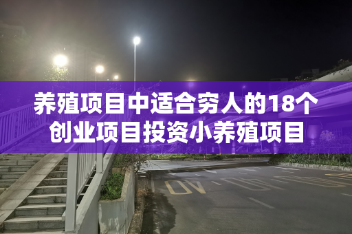 养殖项目中适合穷人的18个创业项目投资小养殖项目