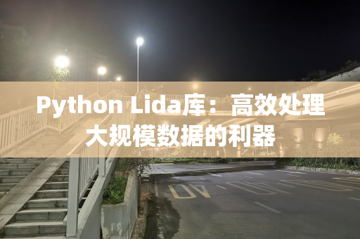 Python Lida库：高效处理大规模数据的利器