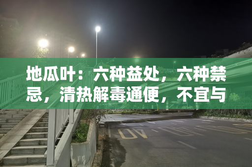 地瓜叶：六种益处，六种禁忌，清热解毒通便，不宜与青椒同食