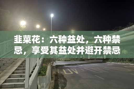 韭菜花：六种益处，六种禁忌，享受其益处并避开禁忌的智慧