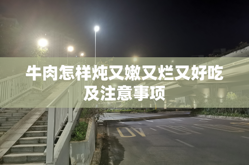 牛肉怎样炖又嫩又烂又好吃及注意事项