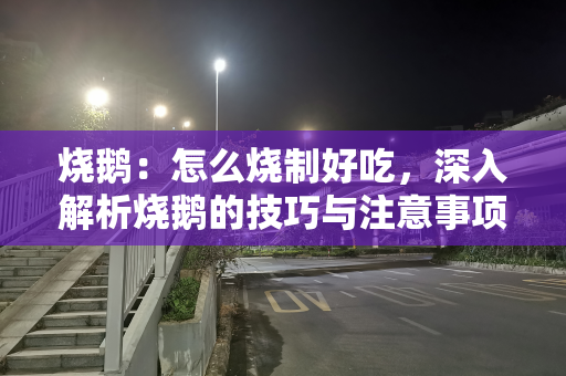 烧鹅：怎么烧制好吃，深入解析烧鹅的技巧与注意事项