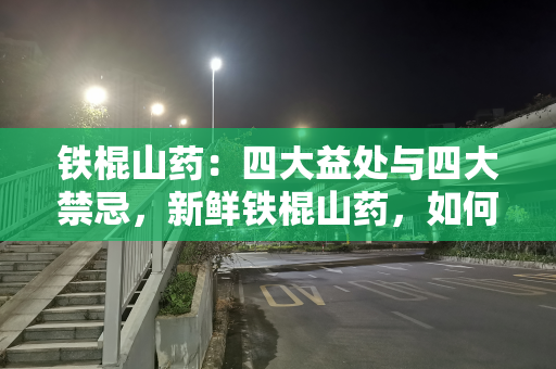 铁棍山药：四大益处与四大禁忌，新鲜铁棍山药，如何选购