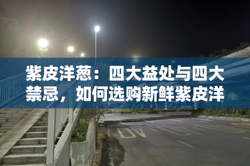 紫皮洋葱：四大益处与四大禁忌，如何选购新鲜紫皮洋葱