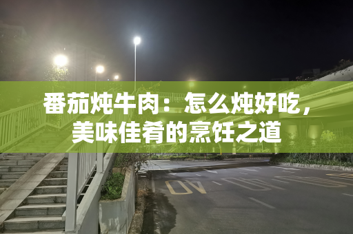 番茄炖牛肉：怎么炖好吃，美味佳肴的烹饪之道