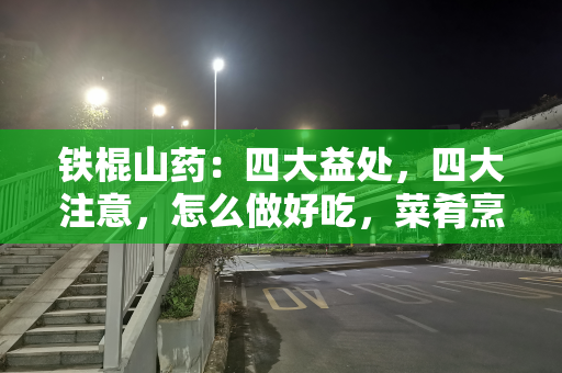 铁棍山药：四大益处，四大注意，怎么做好吃，菜肴烹饪妙招