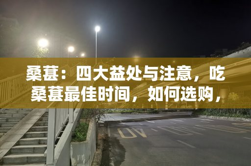 桑葚：四大益处与注意，吃桑葚最佳时间，如何选购，很多人不了解