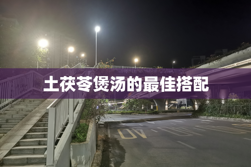 土茯苓煲汤的最佳搭配