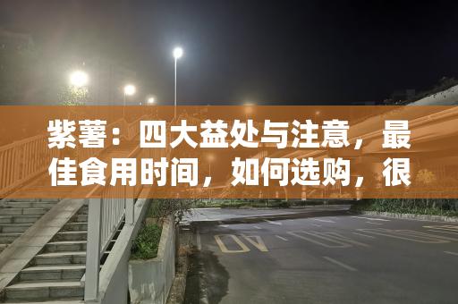 紫薯：四大益处与注意，最佳食用时间，如何选购，很多人不了解
