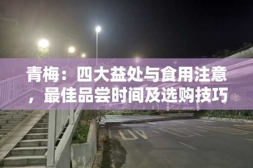 青梅：四大益处与食用注意，最佳品尝时间及选购技巧