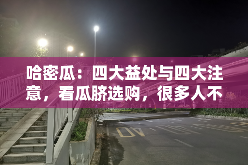 哈密瓜：四大益处与四大注意，看瓜脐选购，很多人不了解