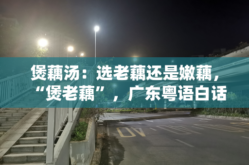 煲藕汤：选老藕还是嫩藕，“煲老藕”，广东粤语白话寓意什么