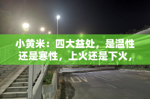 小黄米：四大益处，是温性还是寒性，上火还是下火，烹饪注意火候