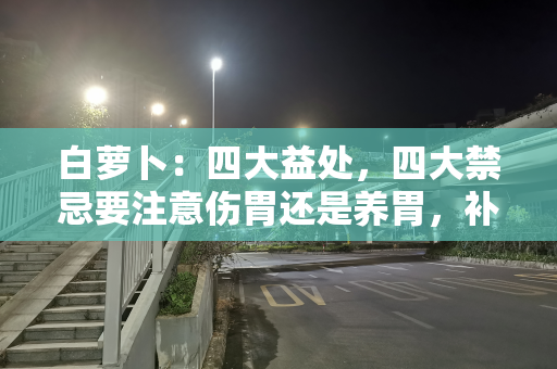 白萝卜：四大益处，四大禁忌要注意伤胃还是养胃，补气还是泄气