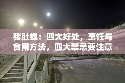 猪肚螺：四大好处，烹饪与食用方法，四大禁忌要注意