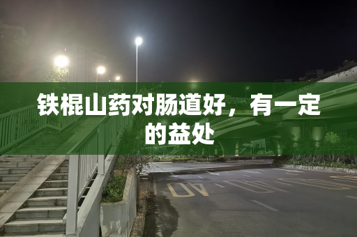 铁棍山药对肠道好，有一定的益处