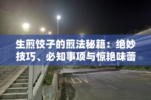 生煎饺子的煎法秘籍：绝妙技巧、必知事项与惊艳味蕾的创意新探