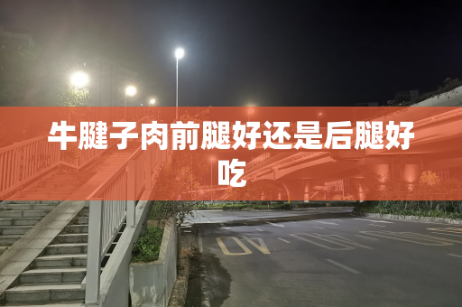 牛腱子肉前腿好还是后腿好吃