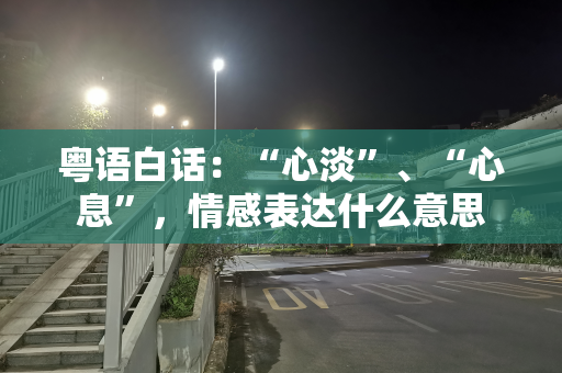 粤语白话：“心淡”、“心息”，情感表达什么意思