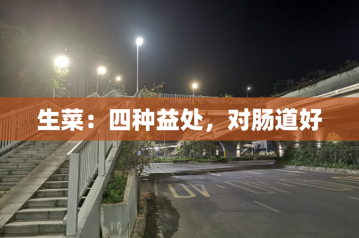 生菜：四种益处，对肠道好