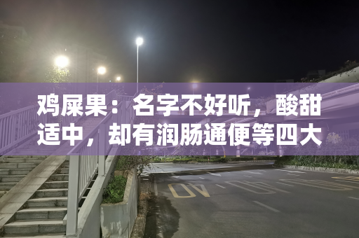 鸡屎果：名字不好听，酸甜适中，却有润肠通便等四大益处