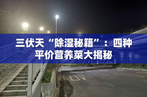 三伏天“除湿秘籍”：四种平价营养菜大揭秘