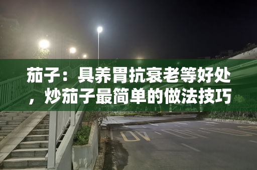 茄子：具养胃抗衰老等好处，炒茄子最简单的做法技巧与注意