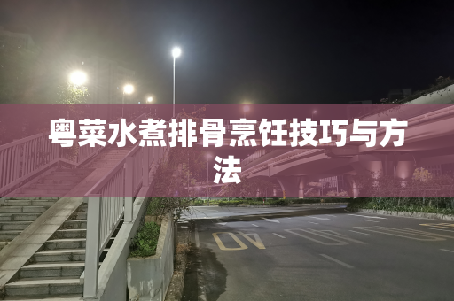 粤菜水煮排骨烹饪技巧与方法