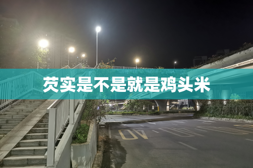 芡实是不是就是鸡头米