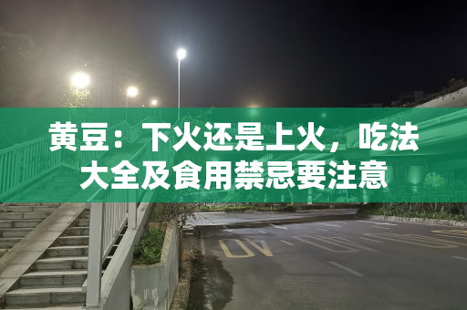 黄豆：下火还是上火，吃法大全及食用禁忌要注意