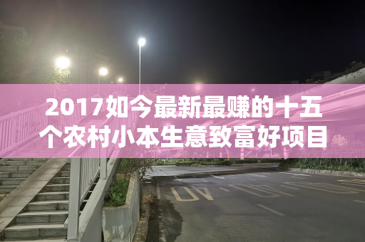 2017如今最新最赚的十五个农村小本生意致富好项目