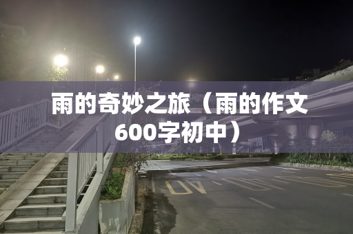  雨的奇妙之旅（雨的作文600字初中）