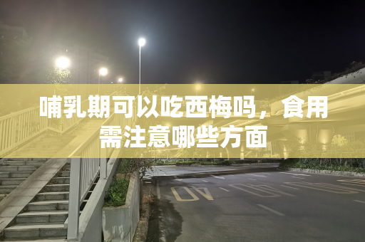哺乳期可以吃西梅吗，食用需注意哪些方面