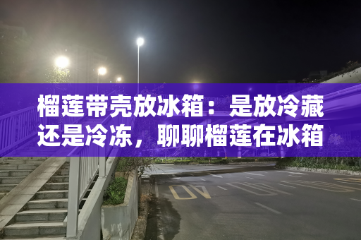 榴莲带壳放冰箱：是放冷藏还是冷冻，聊聊榴莲在冰箱中的最佳归宿