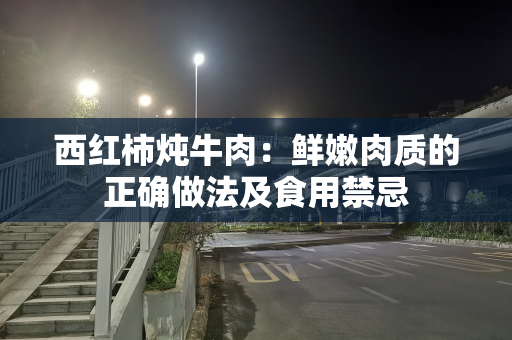 西红柿炖牛肉：鲜嫩肉质的正确做法及食用禁忌