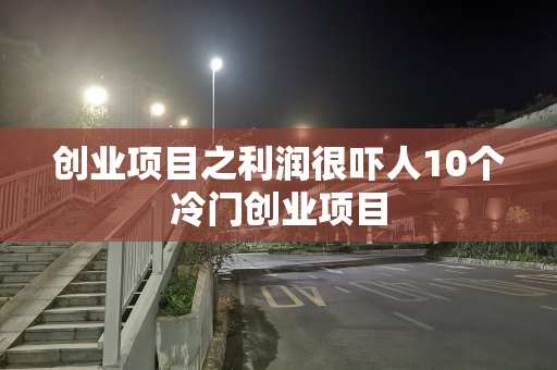 创业项目之利润很吓人10个冷门创业项目