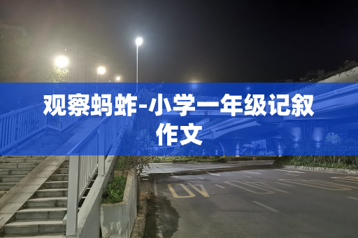 观察蚂蚱-小学一年级记叙作文