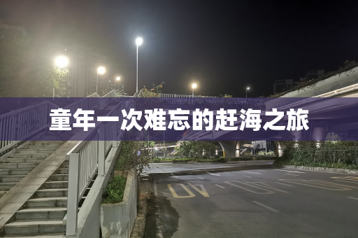 童年一次难忘的赶海之旅