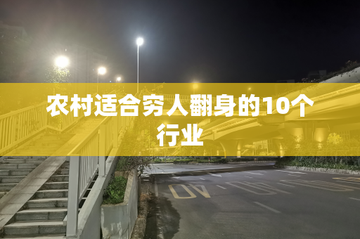 农村适合穷人翻身的10个行业