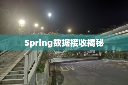 Spring数据接收揭秘
