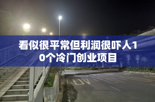 看似很平常但利润很吓人10个冷门创业项目