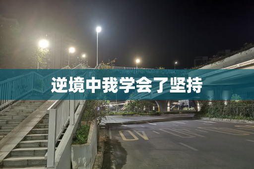 逆境中我学会了坚持