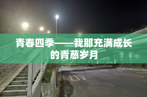 青春四季——我那充满成长的青葱岁月